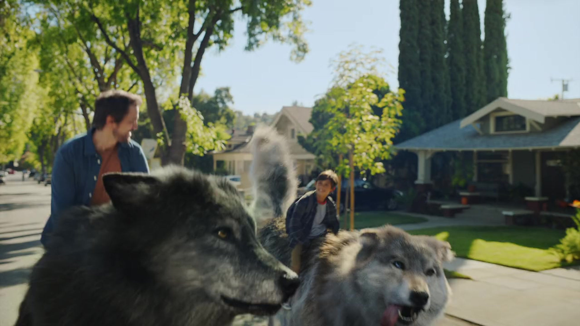 great_wolf_lodge,_strengthen_the_pack_campaign,__picked_up_by_wolves___30 (720p)